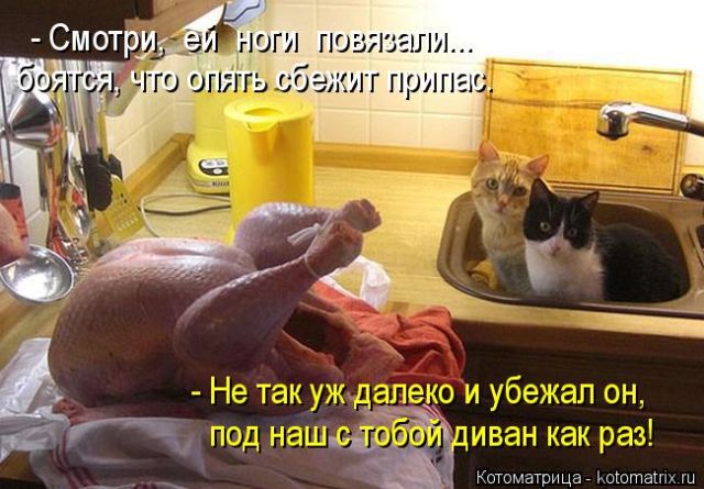 Котоматрицы великолепные, каждая с кусочком тепла, позитива и улыбкой!!! Всем добрых событий сегодня!!! Котоматрицы великолепные, каждая с кусочком тепла, позитива и улыбкой!!! Всем добрых событий сегодня!!!