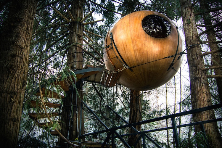 round treehouse