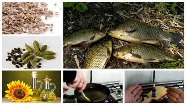 Самодельное масло ароматизатор для рыбалки