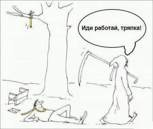 Смысл жизни Смысл жизни