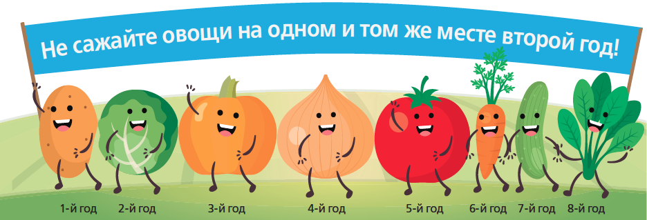 Планы на год 2019: 7 шагов к урожайным грядкам