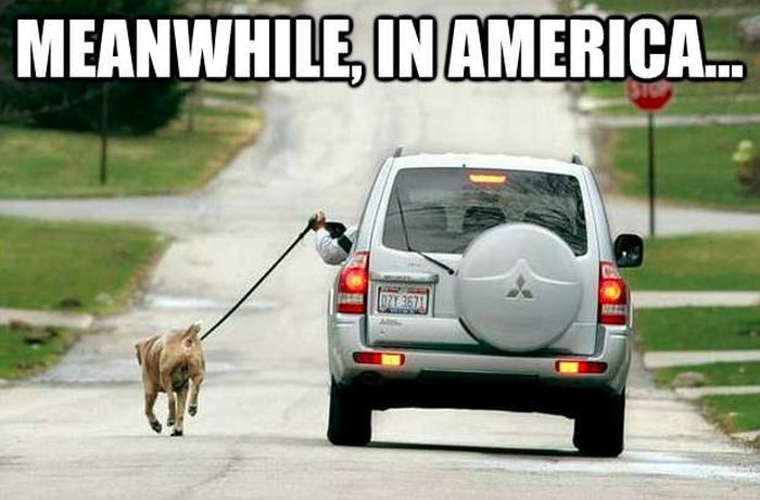 И ЭТИ ЛЮДИ НАМ ЕЩЕ ЧТО-ТО СМЕЮТ УКАЗЫВАТЬ. Тем временем в Америке