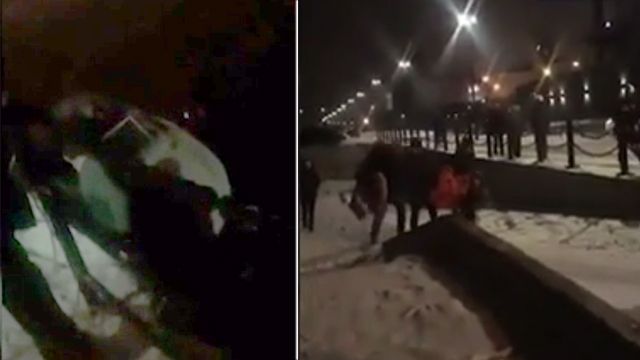 В Красноярске бросившаяся в реку девушка покусала мужчину, который пытался ее спасти