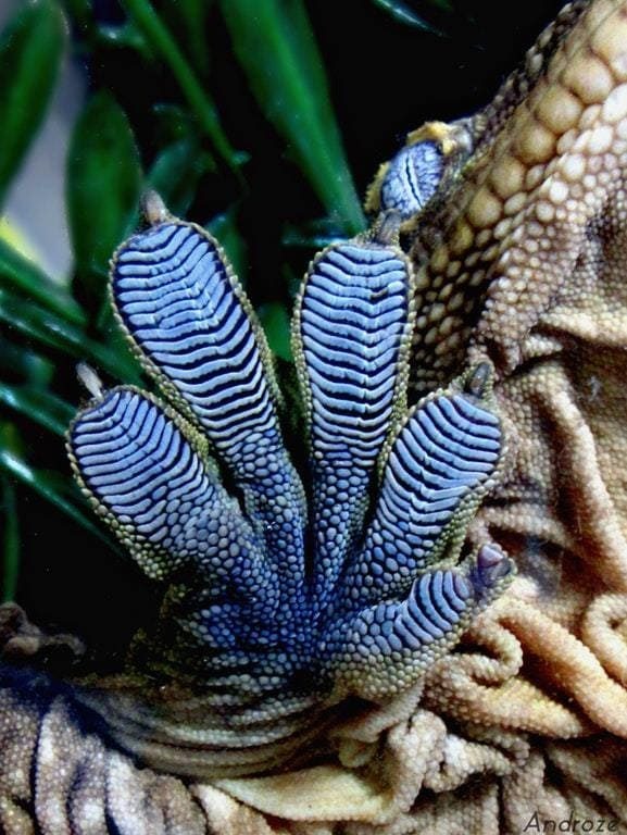 8 УДИВИТЕЛЬНЫХ ЯВЛЕНИЙ 8 УДИВИТЕЛЬНЫХ ЯВЛЕНИЙ