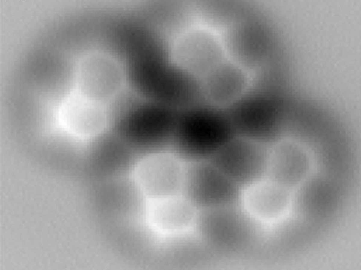 in-may-scientists-captured-the-first-images-of-the-hydrogen-bond-which-holds-our-dna-together-and-gives-water-its-unique-properties-including-surface-tension