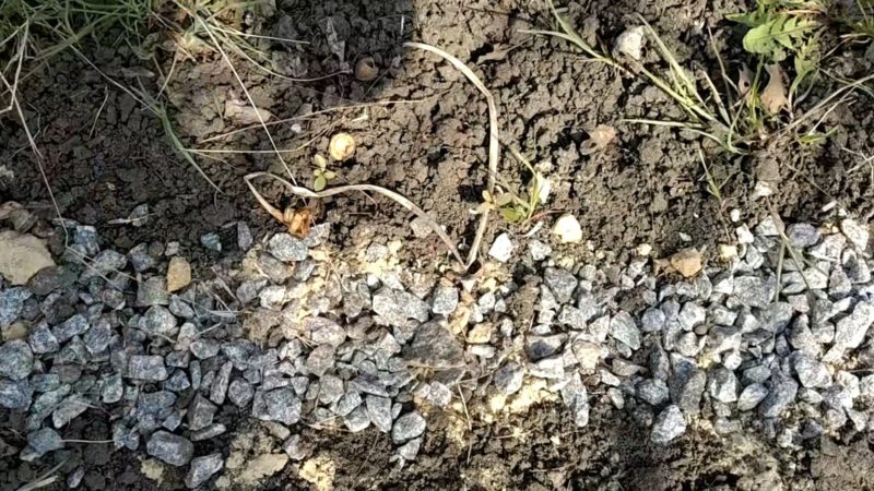 Крутые садовые дорожки буквально из мусора