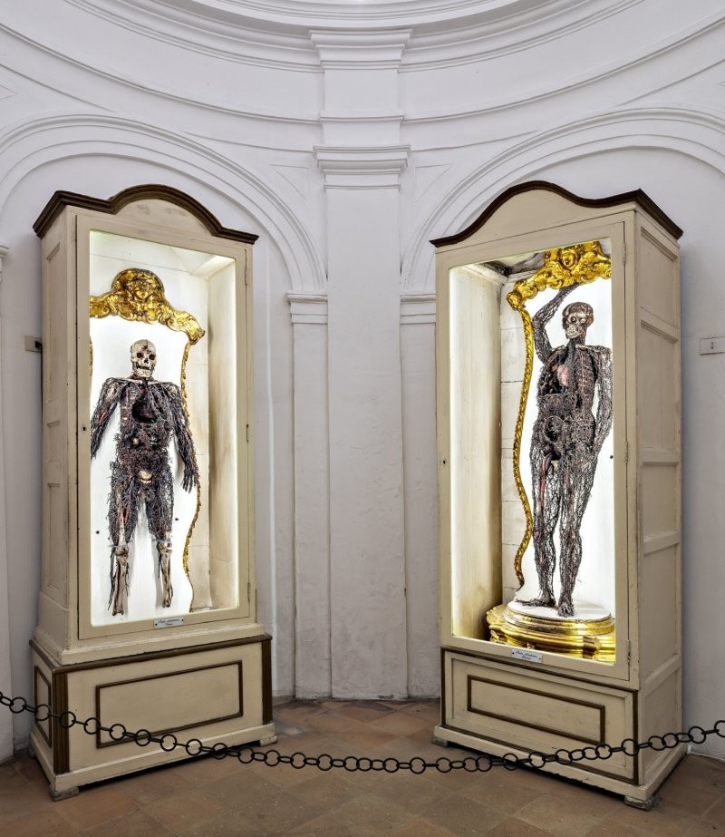 Анатомические машины Раймондо ди Сангро – правда и тёмная легенда