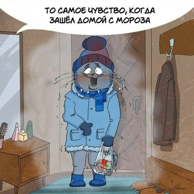 За что следует любить зиму (10 картинок) За что следует любить зиму