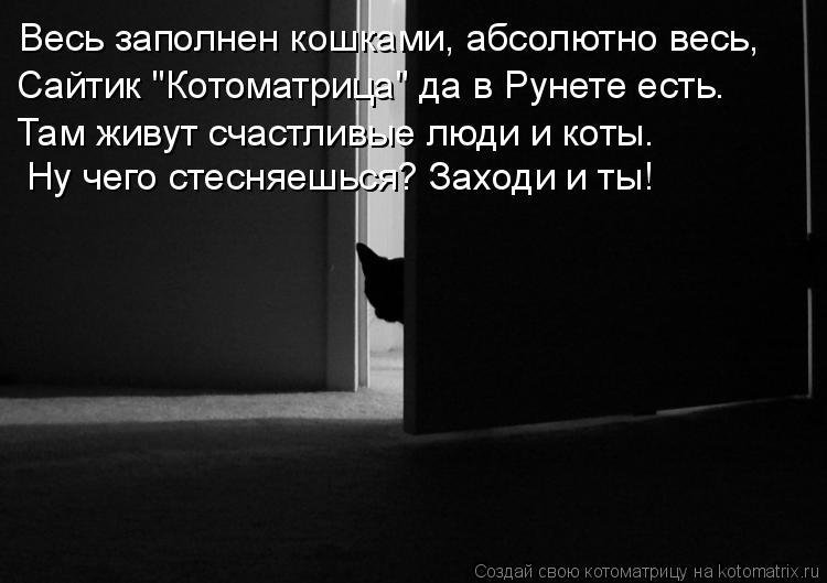 Котоматрица: Весь заполнен кошками, абсолютно весь, Сайтик "Котоматрица" да в Рунете есть. Там живут счастливые люди и коты. Ну чего стесняешься? Заходи и 