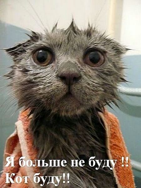 Пост добра и дружбы
