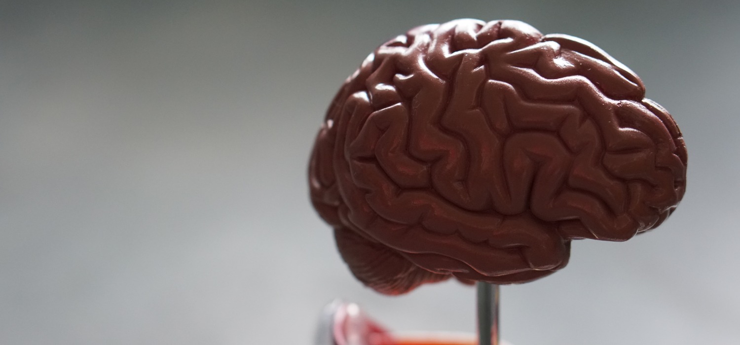Neuropsy: мозг разделен на полушария для управления зрением, а не типом мышления
