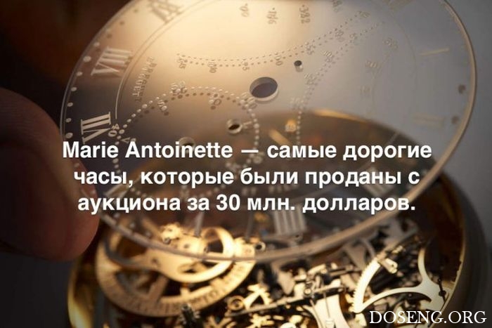 Любопытные и интересные факты обо всем на свете Любопытные и интересные факты обо всем на свете