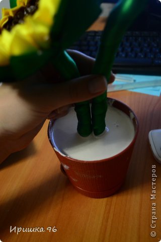 Мастер-класс Поделка изделие 8 марта День рождения Моделирование конструирование МК подсолнуха Гипс Кофе Ленты фото 15