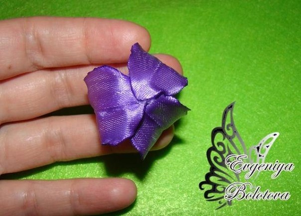 ������ ����� �� ����