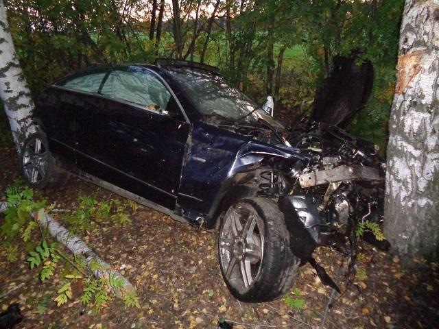 ДТП в Мичуринском районе: «Mercedes-Benz» врезался в березу