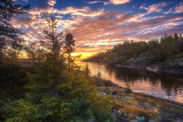 Природа России, ч.2 Природа России, ч.2