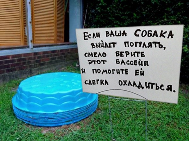 Когда сосед с чувством юмора Когда сосед с чувством юмора