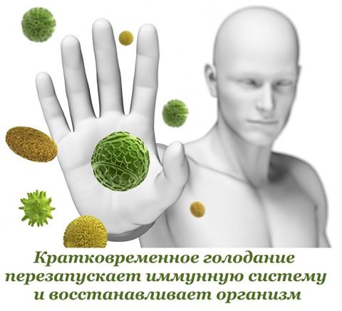 Защита от гриппа: 10 способов быстро уничтожить вирус Защита от гриппа: 10 способов быстро уничтожить вирус