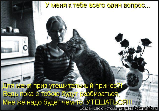 Котоматрица: У меня к тебе всего один вопрос... Мне же надо будет чем-то  УТЕШАТЬСЯ!!! Ведь пока с тобою будут разбираться, Для меня приз утешительный прине