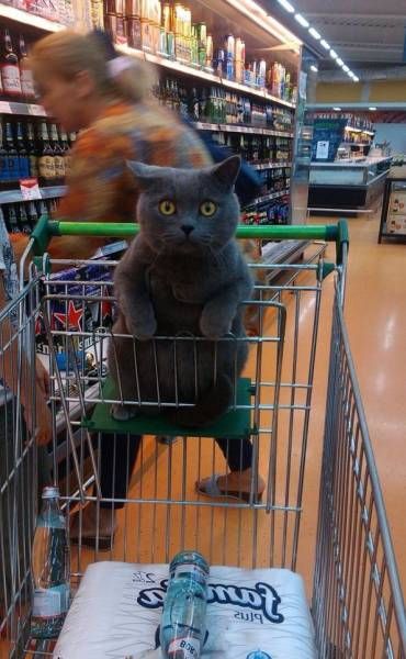 Ночные прикольные картинки (30 шт) Ночные прикольные картинки (30 шт)