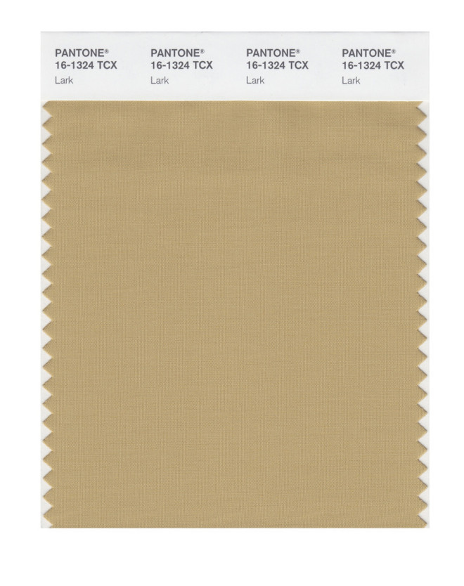 Перья жаворонка (Lark) Какие цвета в одежде станут самыми модными? Pantone назвал 16 главных оттенков 2020 года (фото 32)