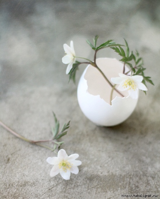 4045361_b997e9aef46f2f3a5d3df362eb1406e9 (549x681, 160Kb)