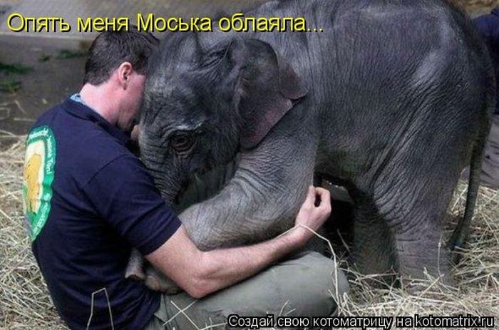 Для хорошего настроения 4