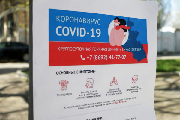 В Севастополе за неделю поступило более 7 тысяч заявок на оформление электронных пропусков