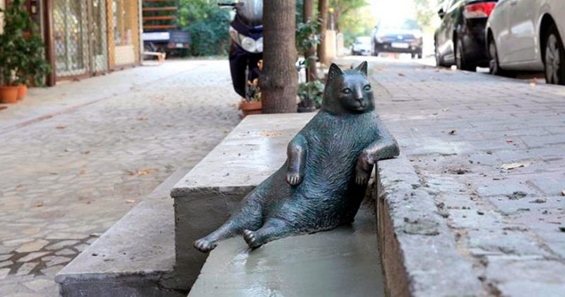 За вальяжную позу: памятник Стамбульскому коту Томбили