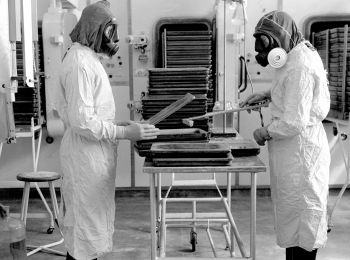 Эпидемия сибирской язвы в 1979 году в Свердловске: что стало причиной