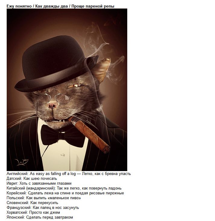 Одинаковые пословицы в разных странах (5 фото)