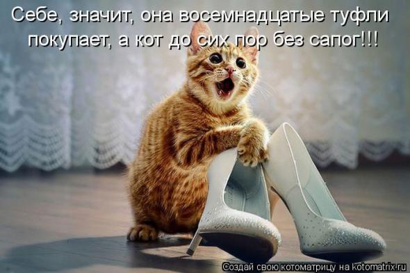 Котоматрицы (картинки с надписями)