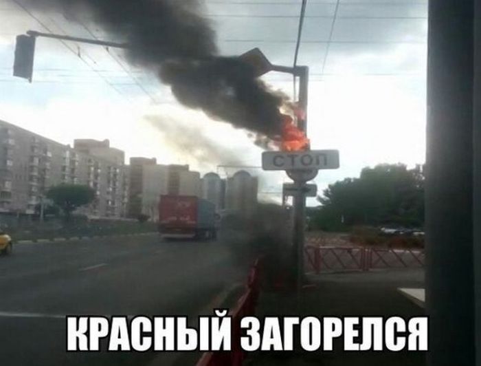 Смешные картинки с подписями Смешные картинки с подписями