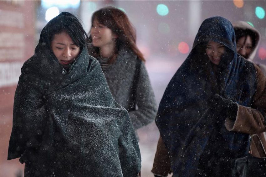 интересное, фотографии, США, заморозки