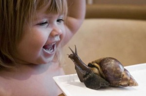 Удивительное — рядом (Фото) Удивительное — рядом…