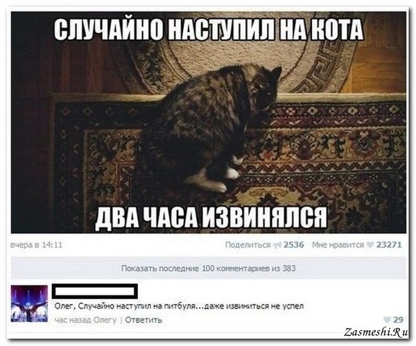 Фееричные комментарии из соц.сетей от народных юмористов Фееричные комментарии из соц.сетей от народных юмористов