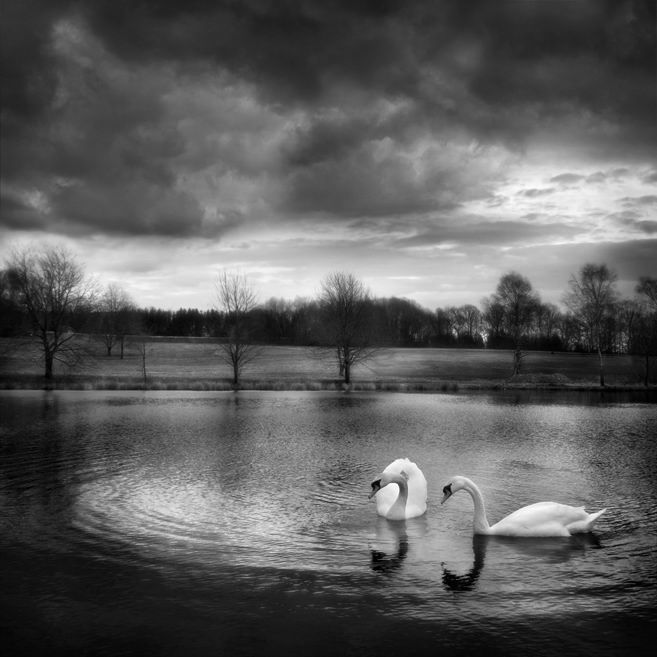 Великолепные моменты из мира животных (60 фото) Великолепные моменты из мира животных (60 фото)