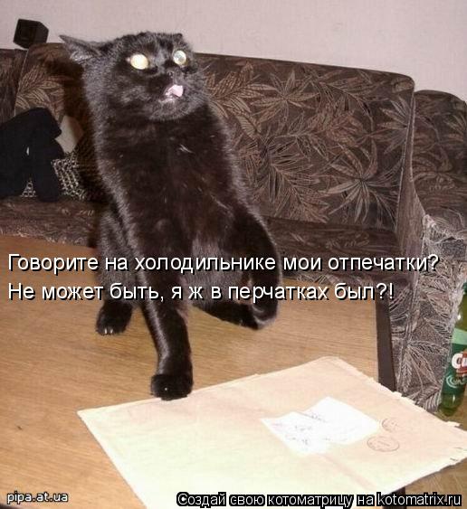   ()