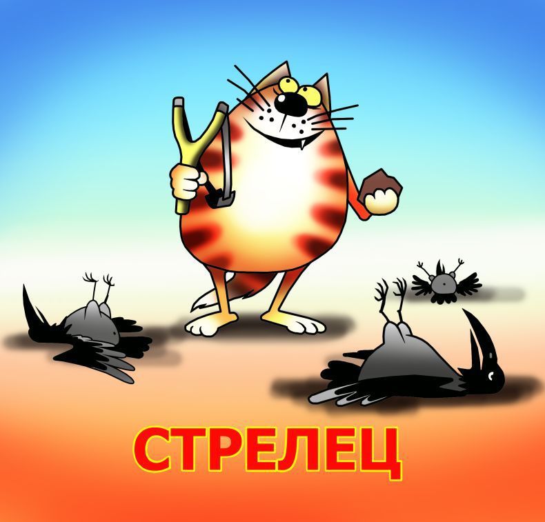Прикольные поздравления стрельцу мужчине