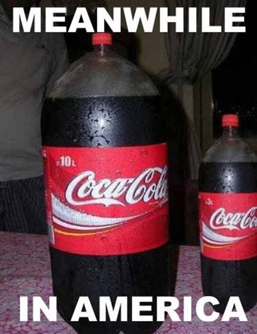 И ЭТИ ЛЮДИ НАМ ЕЩЕ ЧТО-ТО СМЕЮТ УКАЗЫВАТЬ. Тем временем в Америке