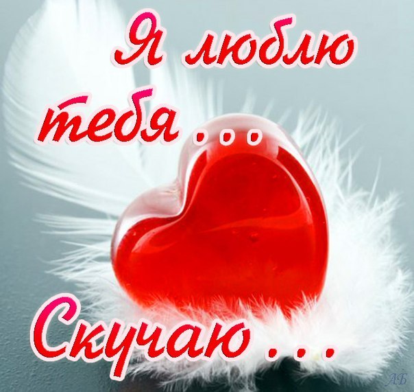 Любимый я люблю тебя открытки с Любимый я люблю тебя открытки с