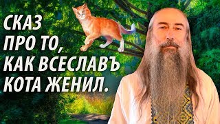 Мы нуждаемся в Любви к братьям нашим меньшим больше, чем они. Часть 1. Мы нуждаемся в Любви к братьям нашим меньшим больше, чем они. Часть 1.