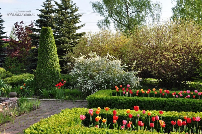 ��� ������� ����������