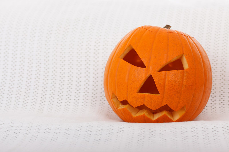 A multi-sensory scare experience.