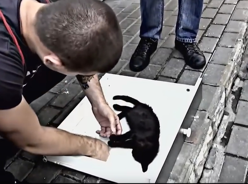 Этот покалеченный котенок доказал, что черным котам тоже везет