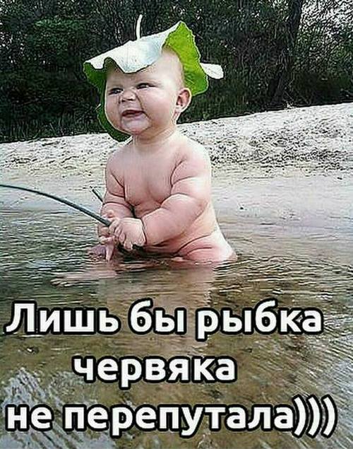 ÐаÑÑинки по запÑоÑÑ ÑоÑо пÑиколÑ