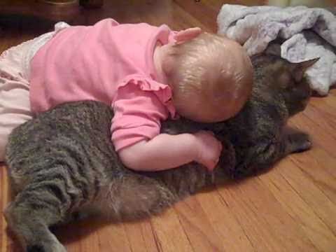 кошки, дети, дом