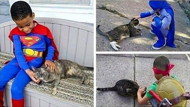 Шону 5 лет, и он наряжается, когда идет заботиться об уличных котах, он чувствует себя супергероем для животных доброта, забота, настроение, фото