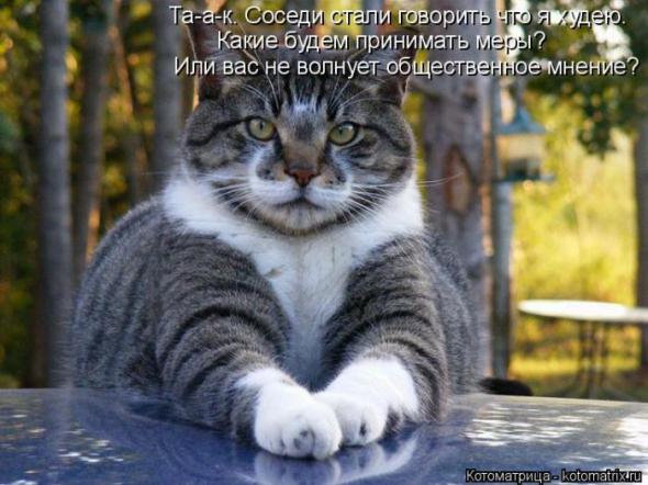 �����������(�������� � ���������)