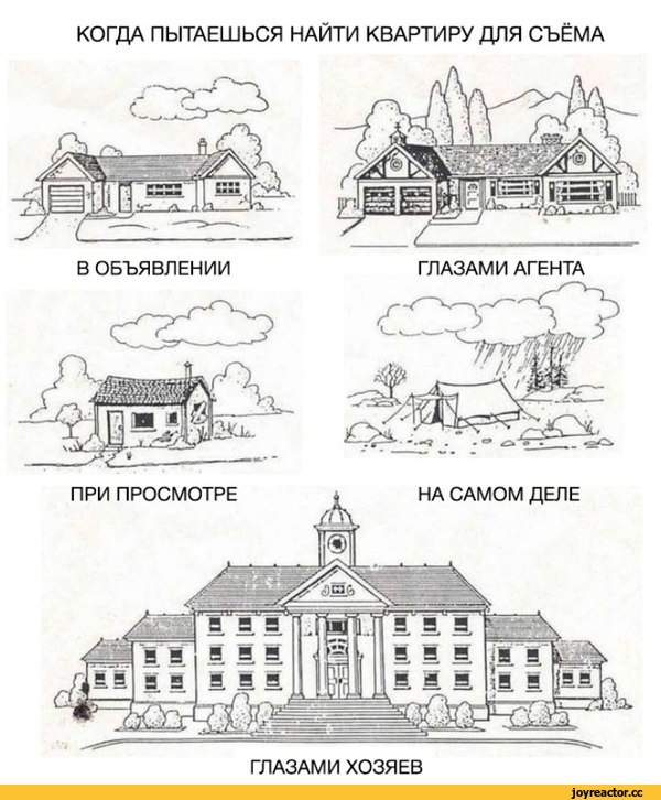 смешные картинки,фото приколы ,квартира,смешное,песочница